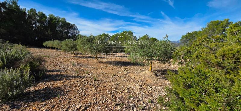 Foto e358165e-9baa-4e36-bed3-d02c46db4337. Masia amb calefacció a Perelló (El)