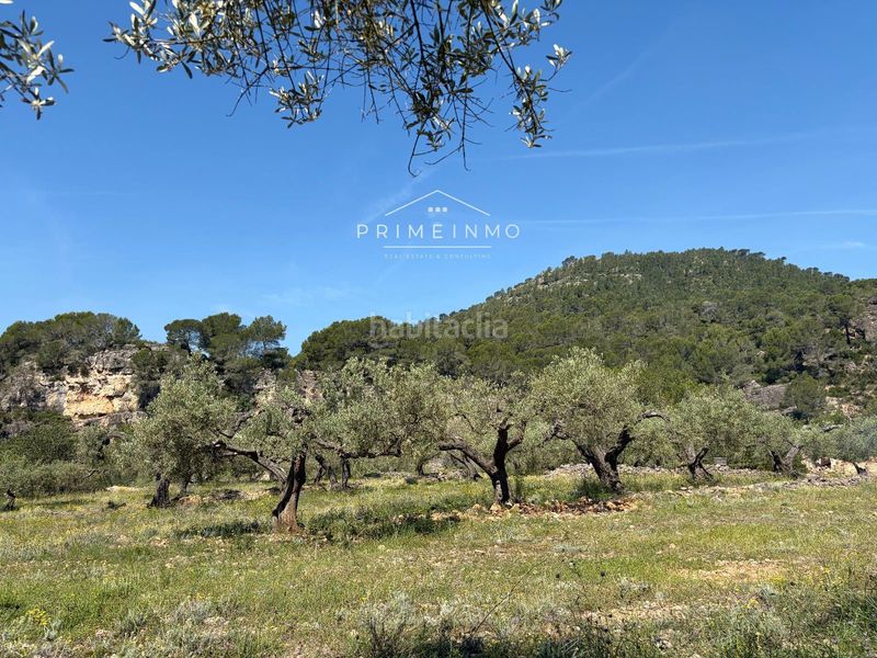 Foto 14479d1b-6461-4bb5-8403-baa7af97d743. Finca rústica a L´Ametlla de Mar Ametlla de Mar (L´)