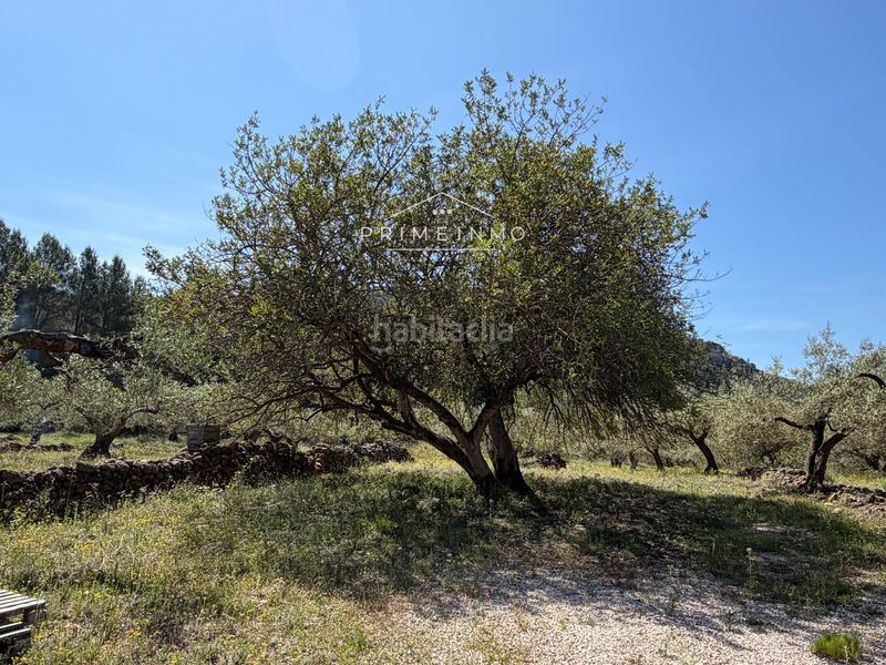 Foto 1af3684b-768e-47ea-b260-e8b90de57917. Finca rústica a L´Ametlla de Mar Ametlla de Mar (L´)