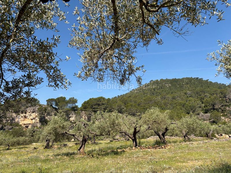 Foto 42f6c646-697b-4473-a36b-a8f864d62b36. Finca rústica a L´Ametlla de Mar Ametlla de Mar (L´)