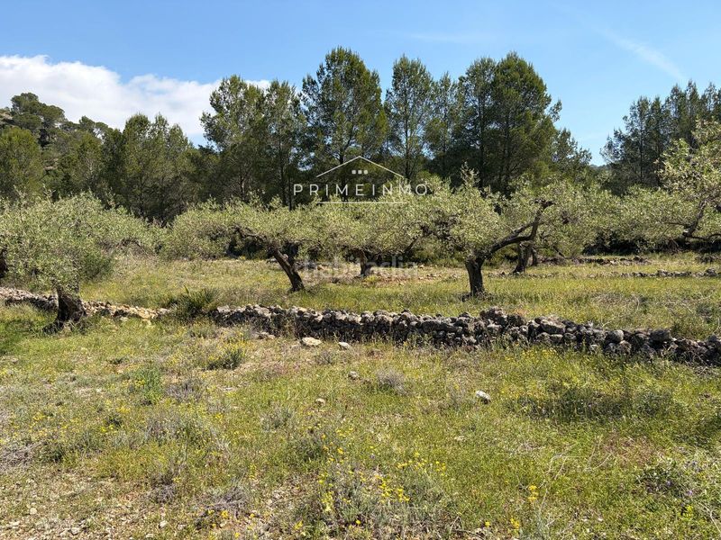 Foto 45036879-7cbd-45ee-b967-f1fba9a19a72. Finca rústica a L´Ametlla de Mar Ametlla de Mar (L´)