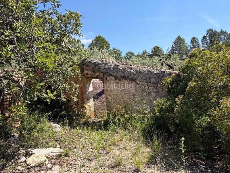 Foto 49ee103f-11e9-4405-b49f-b24c703b26c3. Finca rústica a L´Ametlla de Mar Ametlla de Mar (L´)