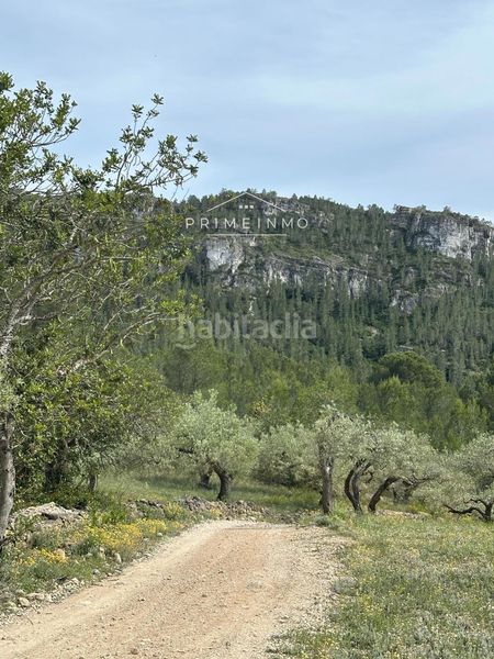 Foto 6a3e7d8a-3438-424e-95b6-6b6becb5a78a. Finca rústica a L´Ametlla de Mar Ametlla de Mar (L´)