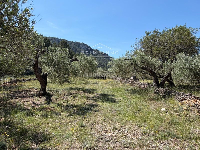 Foto 73a906e9-28b1-4909-b98b-3e4aedbb8f41. Finca rústica a L´Ametlla de Mar Ametlla de Mar (L´)