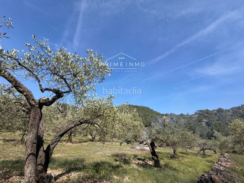 Foto 748e4dd7-df95-4204-b9b6-fc3515d1f1f6. Finca rústica a L´Ametlla de Mar Ametlla de Mar (L´)