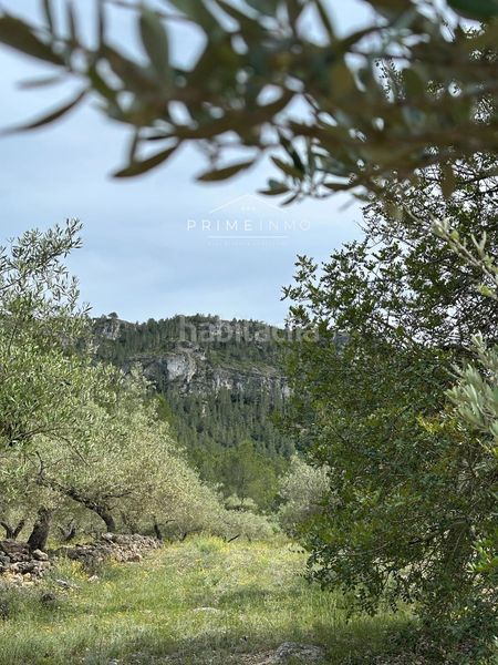 Foto 771276c3-a8a3-40e1-a618-e6a6104b7b5b. Finca rústica a L´Ametlla de Mar Ametlla de Mar (L´)