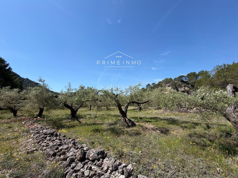 Foto 88c968bb-85f4-40c7-882c-ff7e83f0eae6. Finca rústica a L´Ametlla de Mar Ametlla de Mar (L´)