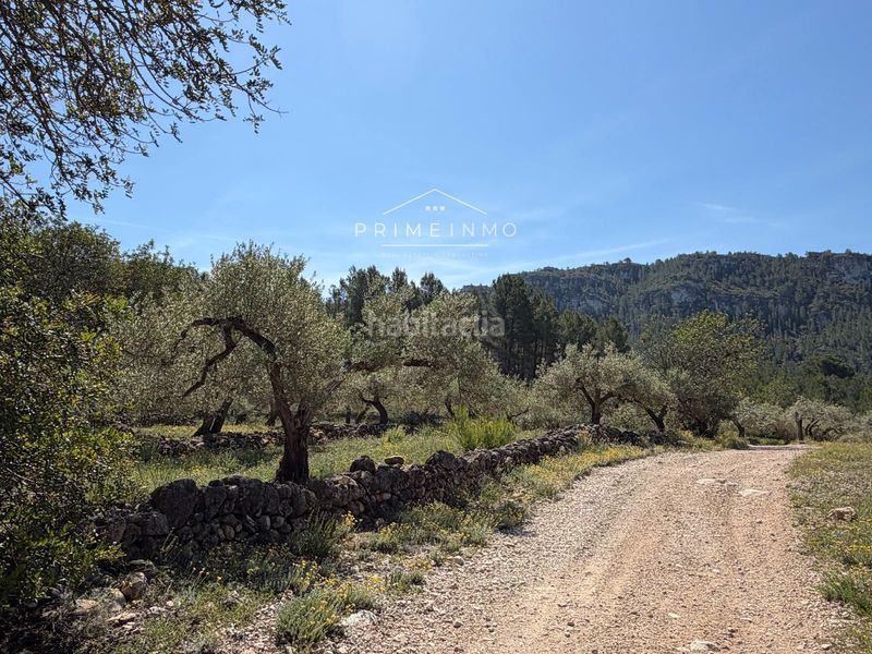 Foto 9ea90840-5451-4092-9efd-165465c128ba. Finca rústica a L´Ametlla de Mar Ametlla de Mar (L´)