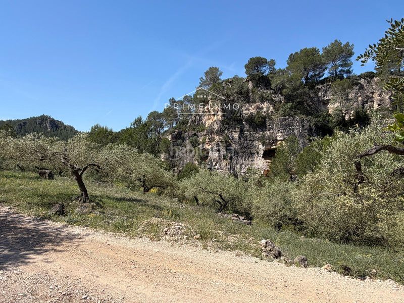 Foto 9f3bf8a7-1377-4635-87e7-b39d8b67acef. Finca rústica a L´Ametlla de Mar Ametlla de Mar (L´)