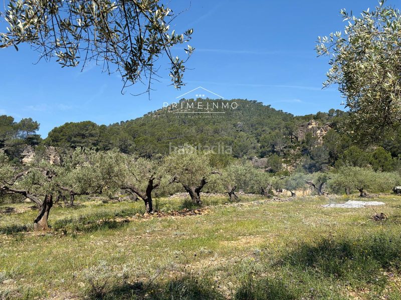 Foto c7619f70-4ca9-4d4d-a67e-b76aabb9a25f. Finca rústica a L´Ametlla de Mar Ametlla de Mar (L´)