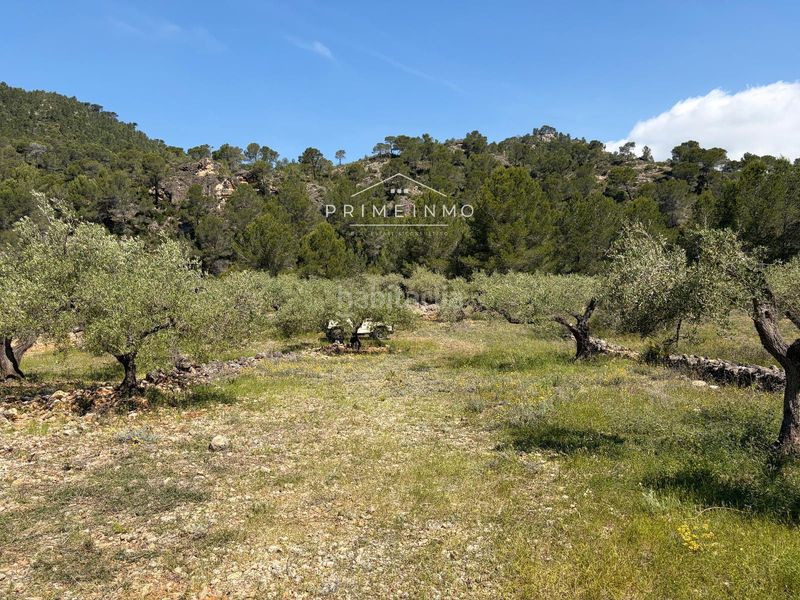 Foto c7a39431-e63c-431e-9e6b-50546add2723. Finca rústica a L´Ametlla de Mar Ametlla de Mar (L´)