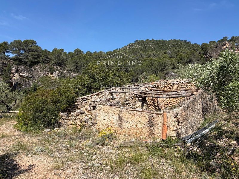 Foto f01a5fbf-1dcc-4e44-8cd5-426a0e0623ca. Finca rústica a L´Ametlla de Mar Ametlla de Mar (L´)