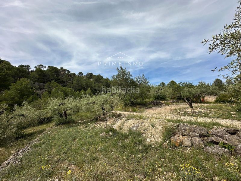 Foto f9df42b0-7474-41f7-ac4e-529db7160cd6. Finca rústica a L´Ametlla de Mar Ametlla de Mar (L´)