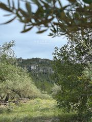 Finca rústica en Tivissa. En lametlla de mar