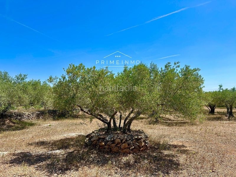 Foto 4eeb5d43-b4c5-41f8-986b-58d1e347c15d. Masia amb calefacció a Ampolla (L´)
