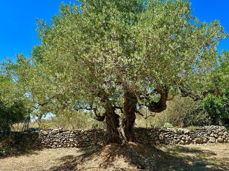 Foto 8b40b958-aa70-4663-9b47-1e16f4bc6a3f. Masia amb calefacció a Ampolla (L´)