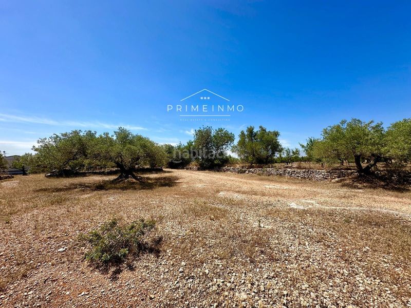 Foto c13d8555-e33e-4dff-a2be-cbce71f8924a. Masia amb calefacció a Ampolla (L´)