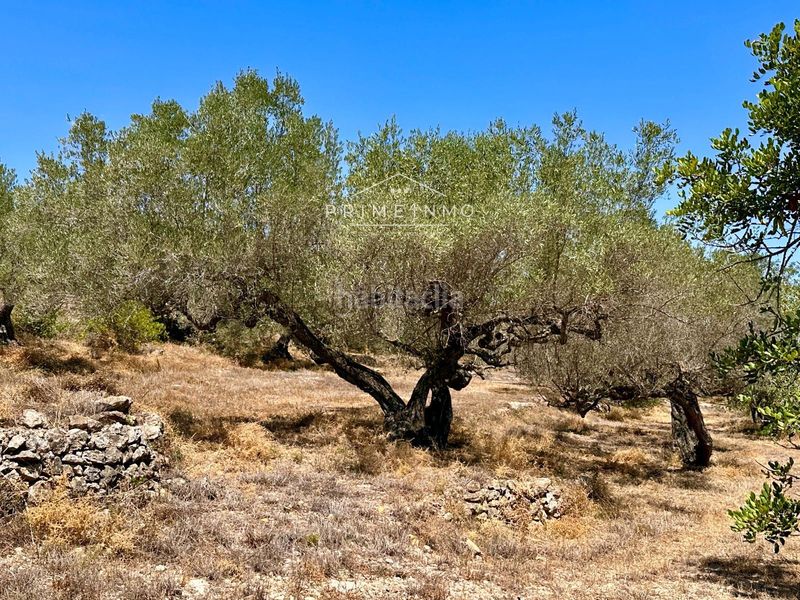 Foto 152aa3da-660c-40fb-a106-42f861911789. Masia a Roques Daurades-L´Estany Ametlla de Mar (L´)
