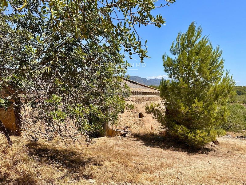 Foto 49569d70-cecf-46d5-95dc-d95bd8f67152. Masia a Roques Daurades-L´Estany Ametlla de Mar (L´)