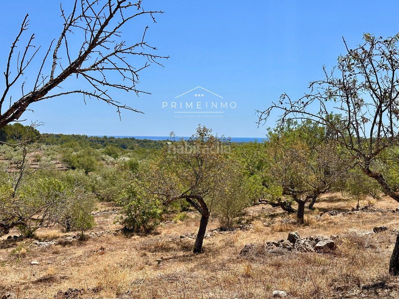 Foto 60092eef-301e-4830-a54a-cad97d21163d. Masia a Roques Daurades-L´Estany Ametlla de Mar (L´)