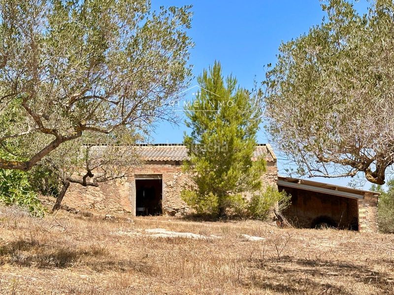 Foto 894656d4-de1d-451c-aedb-1eadb531e215. Masia a Roques Daurades-L´Estany Ametlla de Mar (L´)