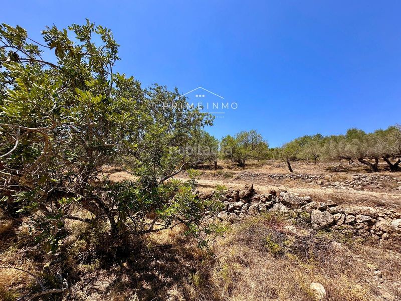 Foto b5d258da-fb14-42db-86bd-8df9d085ded6. Masia a Roques Daurades-L´Estany Ametlla de Mar (L´)