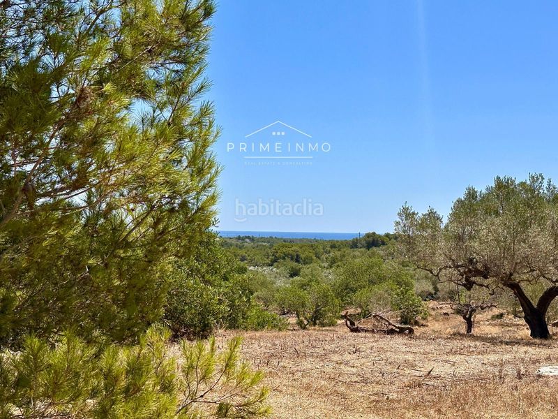 Foto ca2e6265-294a-4cd0-a9df-a96538831f18. Masia a Roques Daurades-L´Estany Ametlla de Mar (L´)