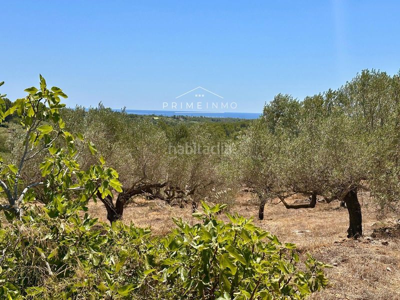 Foto ca94cd93-7e96-4ab1-809a-dbafcc5f0c37. Masia a Roques Daurades-L´Estany Ametlla de Mar (L´)