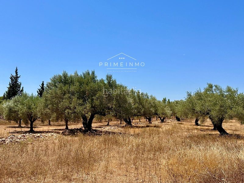Foto 142a0884-7b75-4a56-8033-f2556f99d364. Masia amb aparcament a L´Ametlla de Mar Ametlla de Mar (L´)