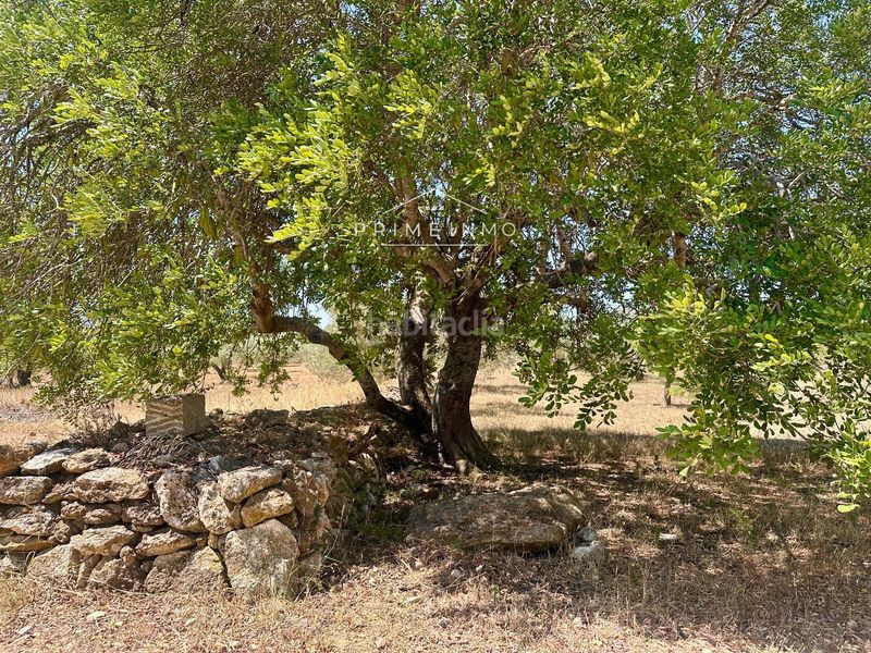 Foto 456fb164-04b2-4656-a43d-d9e4191dedb7. Masia amb aparcament a L´Ametlla de Mar Ametlla de Mar (L´)