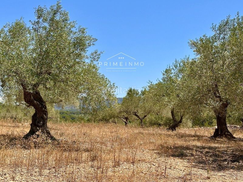 Foto a8745bc1-00f0-4daa-9a51-07f21f41f0ce. Masia amb aparcament a L´Ametlla de Mar Ametlla de Mar (L´)