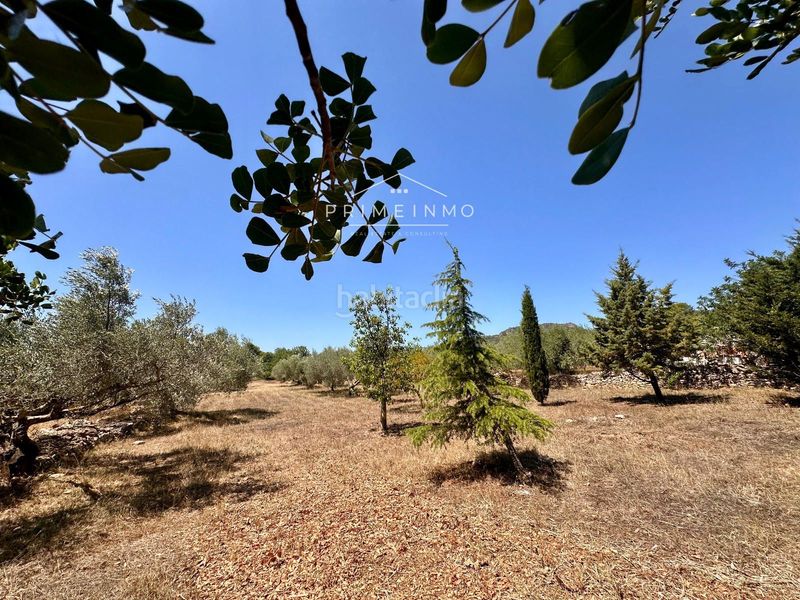 Foto f89c3860-8f71-4b8c-a0ed-cf6c1d1c12d7. Masia amb aparcament a L´Ametlla de Mar Ametlla de Mar (L´)