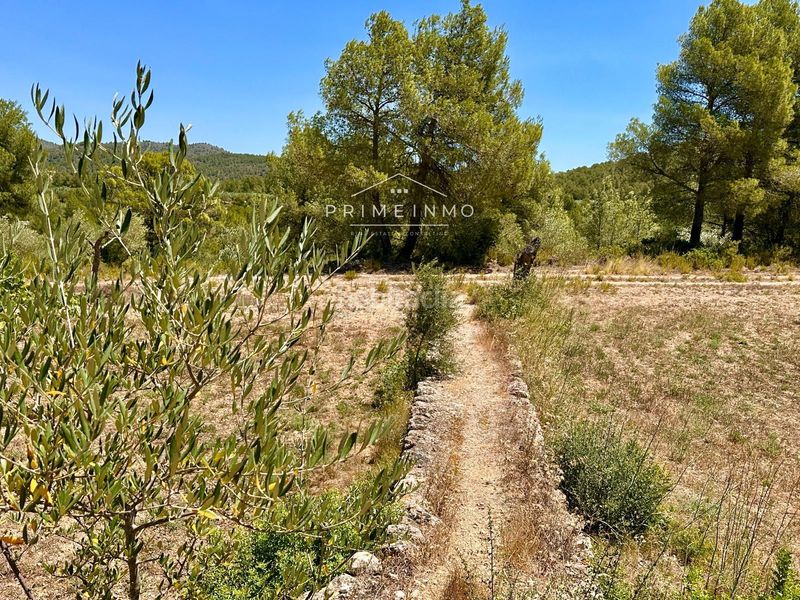 Foto 1c98e689-d171-4f72-ac82-98ebf9b9cb9e. Masia amb piscina a Perelló (El)