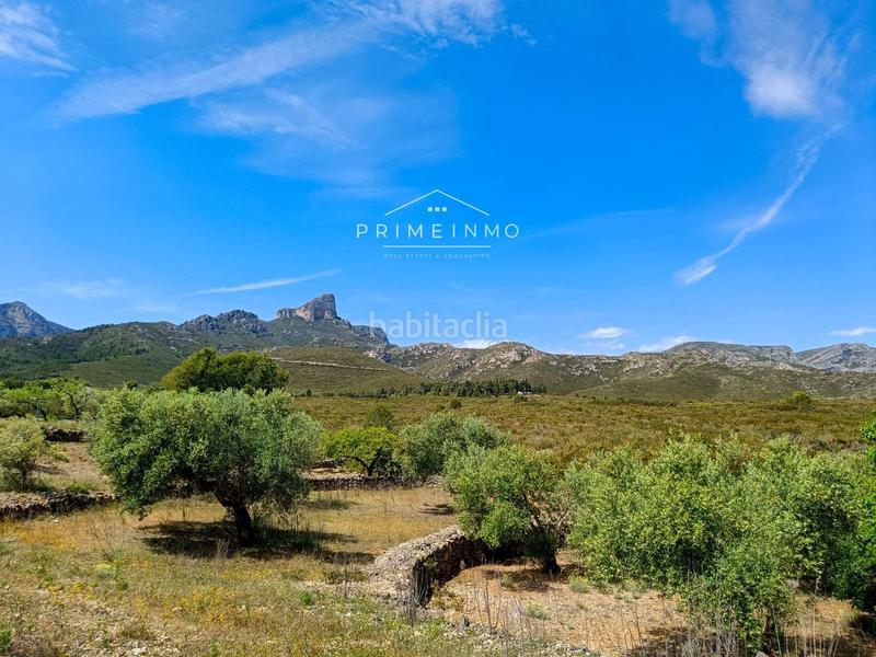 Foto 342842ed-407a-453f-9f34-f28010d2e5f2. Rural plot in Perelló (El)