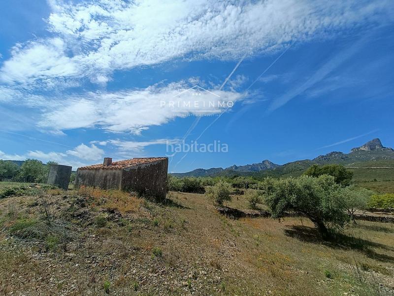 Foto 91e1c566-25c5-4824-8d80-20e52219fbd3. Rural plot in Perelló (El)