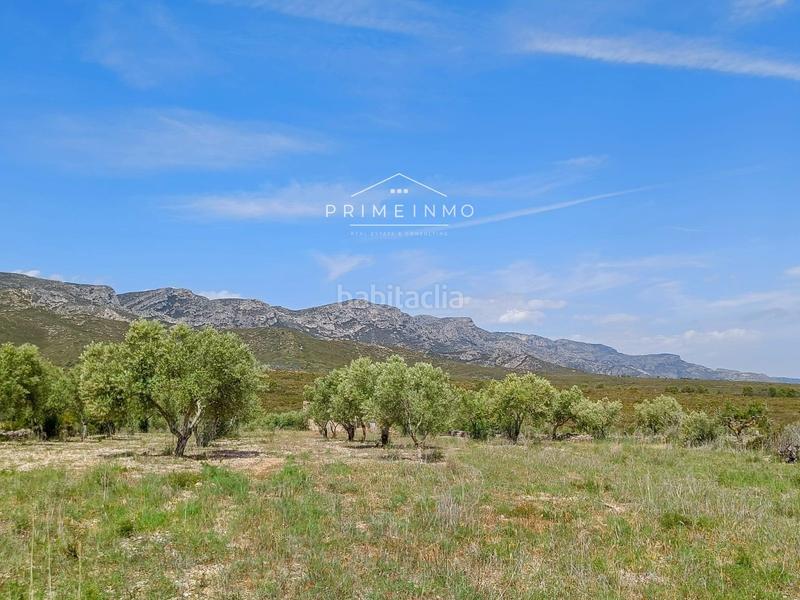Foto d05580da-b98f-4f55-be7e-5584f4d3c1ca. Rural plot in Perelló (El)