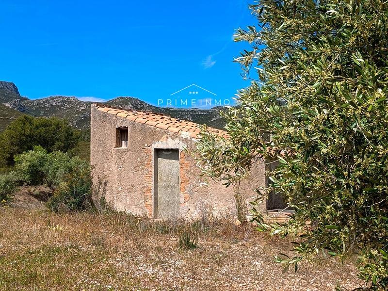 Foto d552767d-9ffe-4208-9c60-fd95e6ade4dc. Rural plot in Perelló (El)