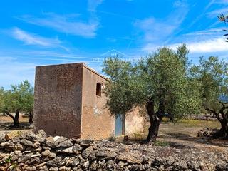 Finca rústica a Perelló (El). Fincas rústicas en el perelló