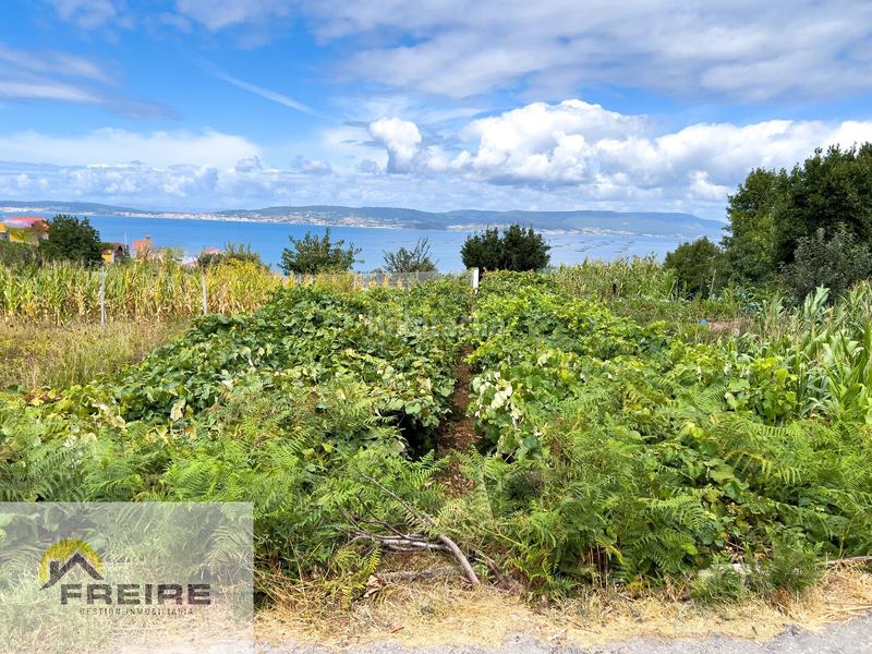 Foto 5b0ff547-14be-4a78-acfb-03961688987f. Finca rústica finca en venta en la zona de las meanes pontevedra en Bueu