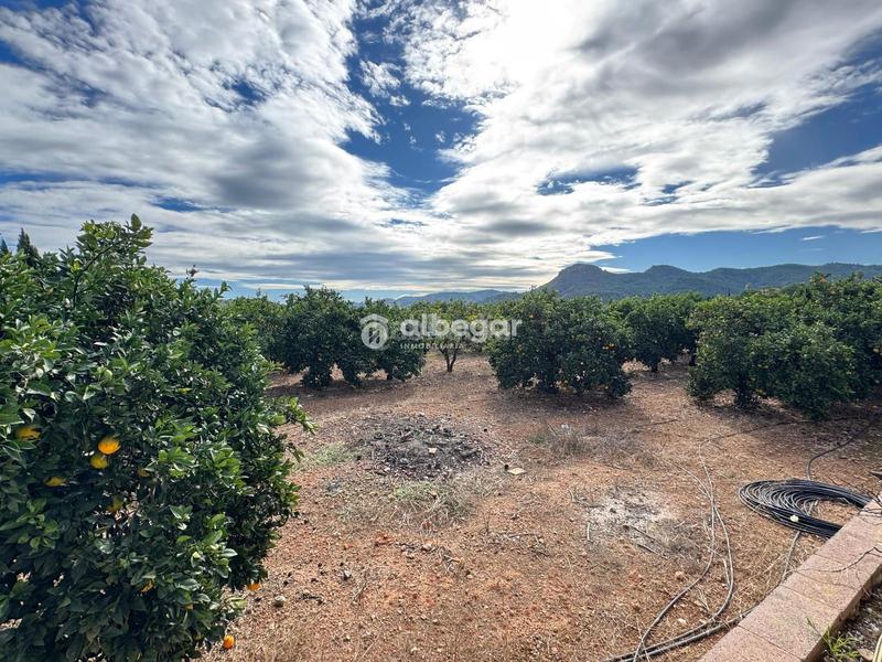 Foto 80bf538f-341b-4c4f-a06a-4223ec7604dc. Chalet con parcheggio piscina in Albalat dels Tarongers