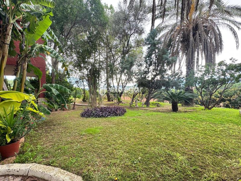 Foto 8df0d78d-ee89-44f6-863a-a8a84a1f1e0b. Chalet con parcheggio piscina in Albalat dels Tarongers