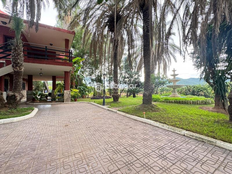 Foto ba3f852a-101a-4c8c-a233-a6686b3374a6. Chalet con parcheggio piscina in Albalat dels Tarongers