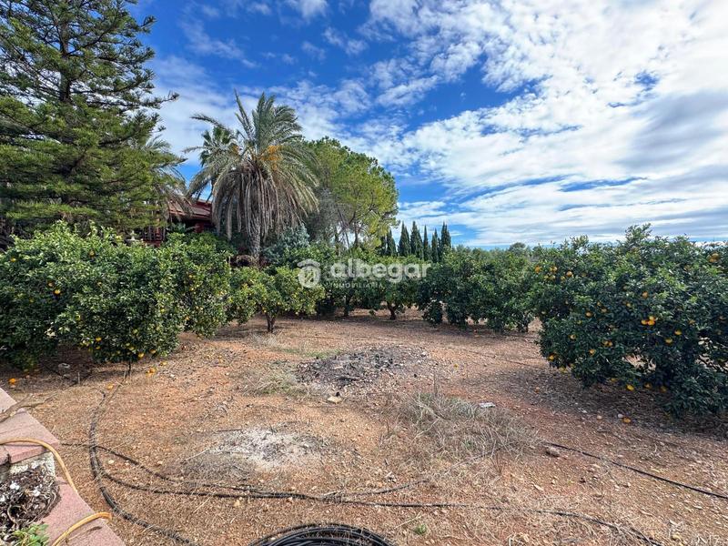 Foto e29bfff0-560e-4547-9ff0-9523aadbada1. Chalet con parcheggio piscina in Albalat dels Tarongers