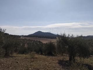 Terreny residencial a De puerto falso. Terreno en venta, coin
