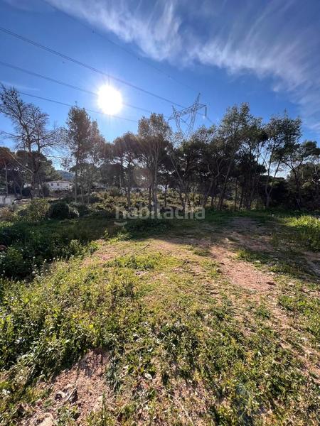 Foto b338af4f-76b3-4cf6-9654-c7d5ba0088fc. Fondo rustico in Doctor Palos - Alto Palancia Sagunt