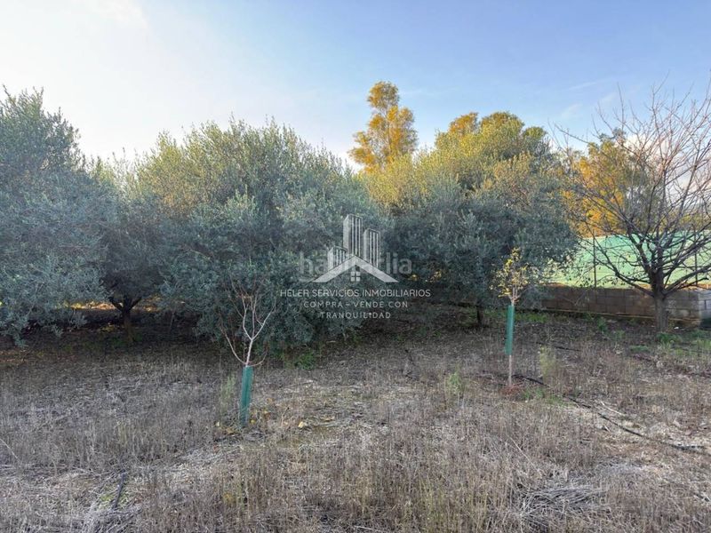 Foto 154d0af2-8f81-436b-bb25-281baf1d11e8. Finca rústica a El Grao Castellón de la Plana