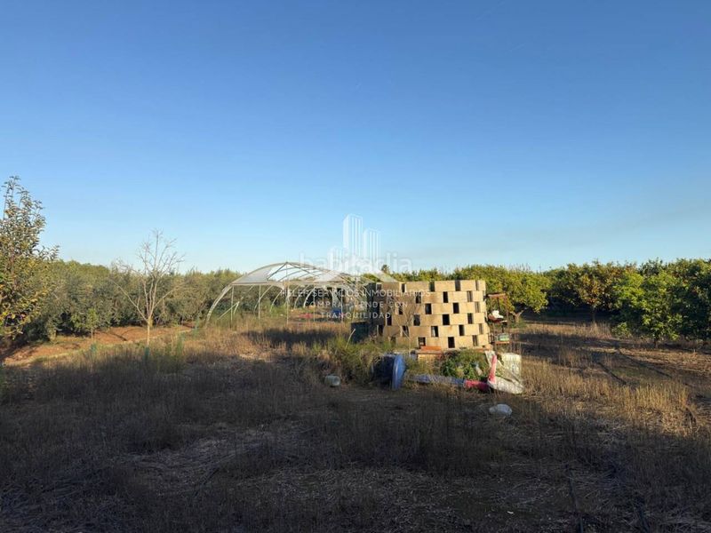 Foto 4e093322-f4ce-448d-bf10-927d5e43ab2a. Finca rústica a El Grao Castellón de la Plana