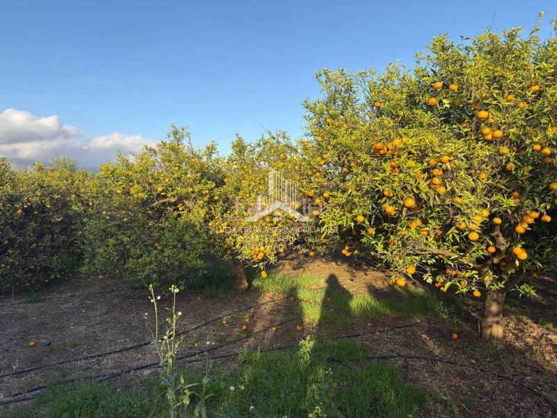 Foto 58af0fda-a545-4840-8167-04be22c0d658. Finca rústica a El Grao Castellón de la Plana