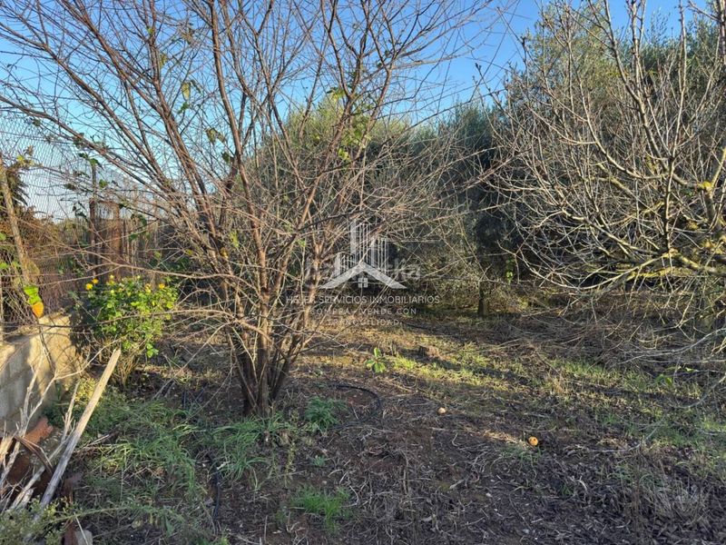 Foto 5f8b7895-5dd5-4d0a-9453-6ea776661728. Finca rústica a El Grao Castellón de la Plana