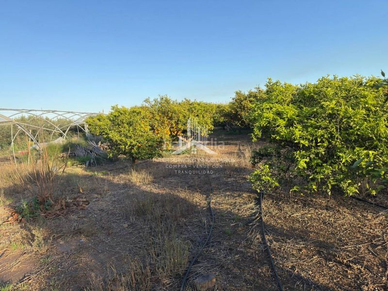Foto 65f7a28c-d4e0-4b6a-8e7b-6952177c96dc. Finca rústica a El Grao Castellón de la Plana
